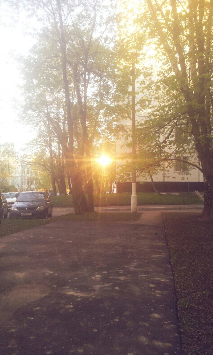 sun