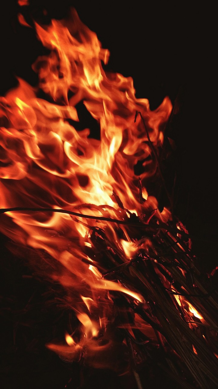 bonfire