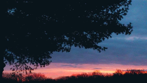 Beautiful Morning