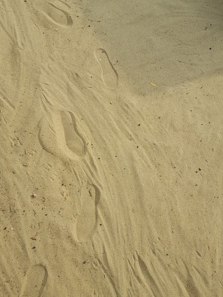 한적 오후
