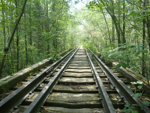 track of life