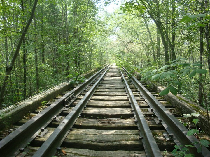 track of life