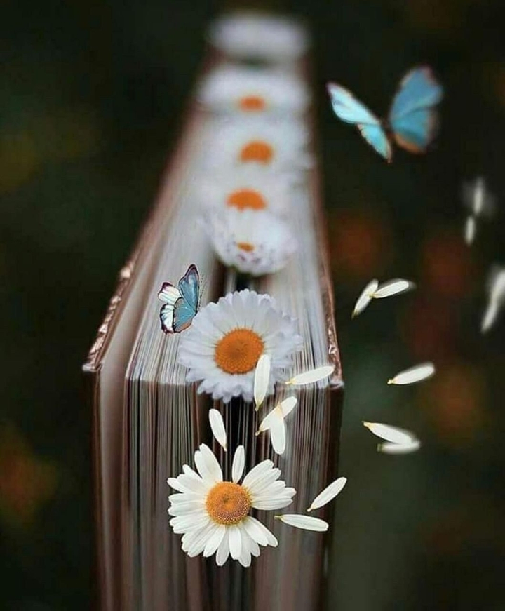 book can rescue your life