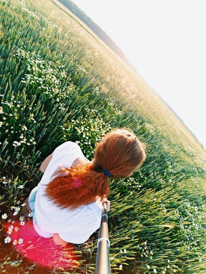 Chamomile