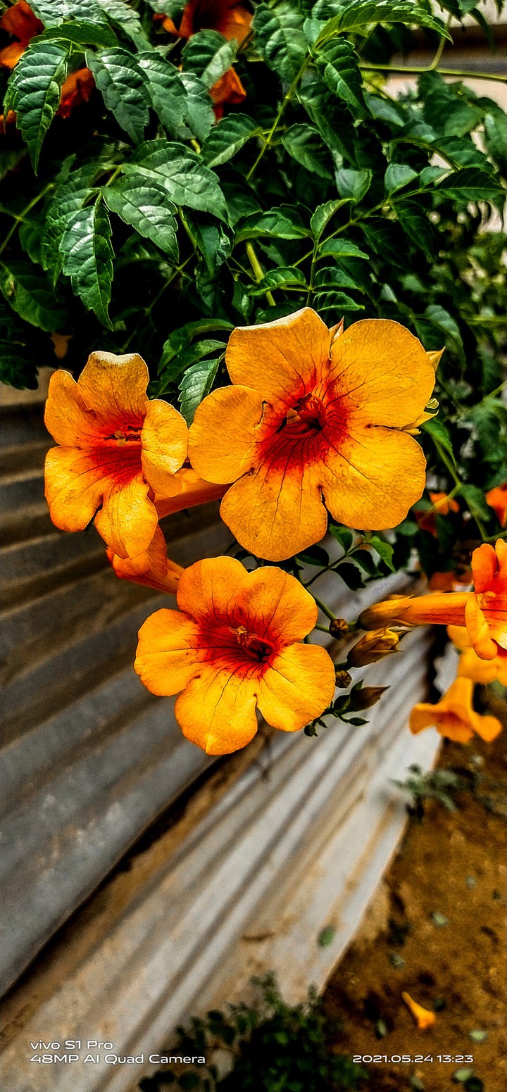 my photography
