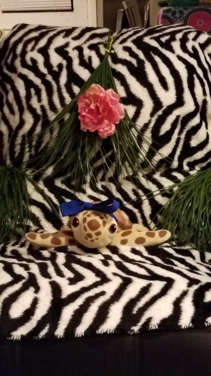 squirt