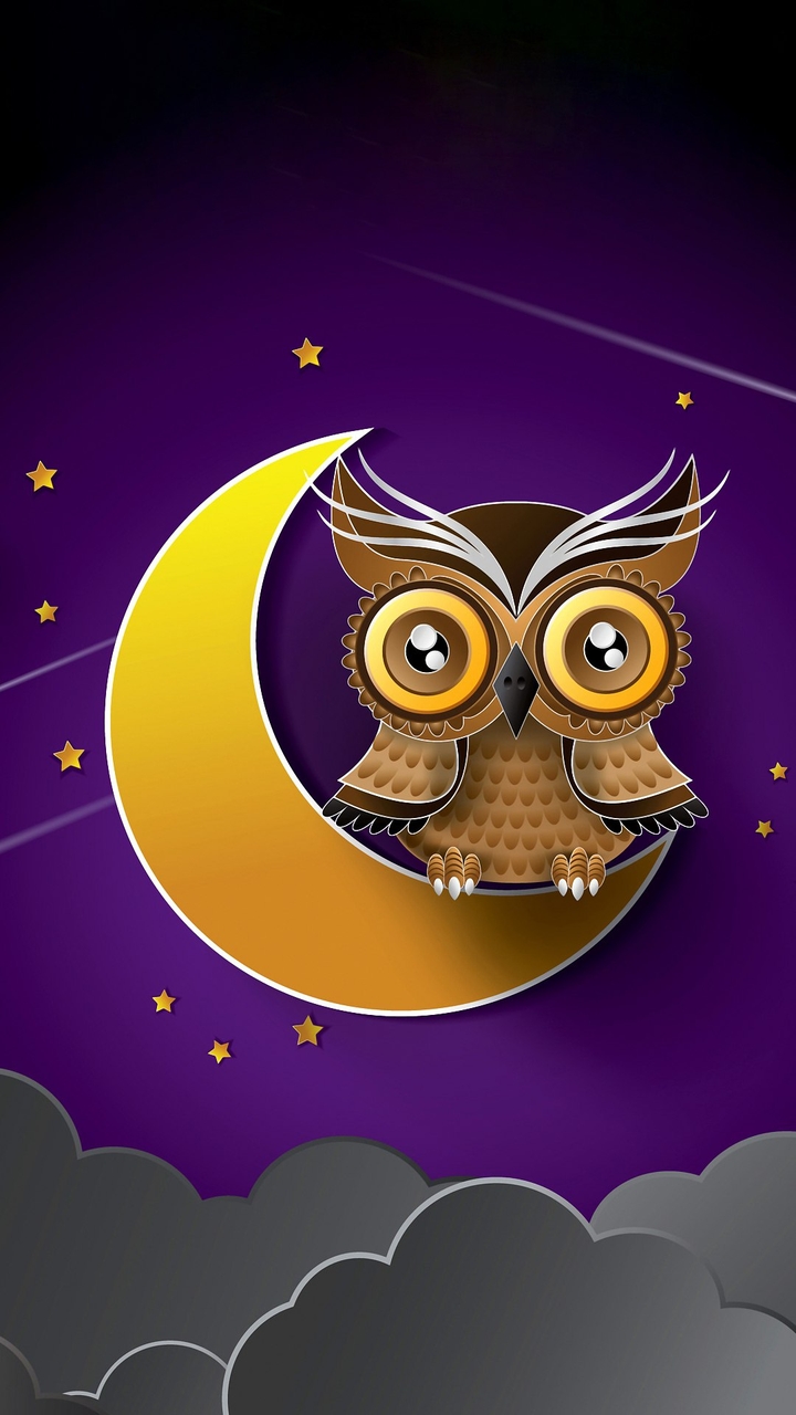 OWL❤