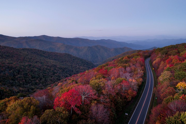 nature beauty