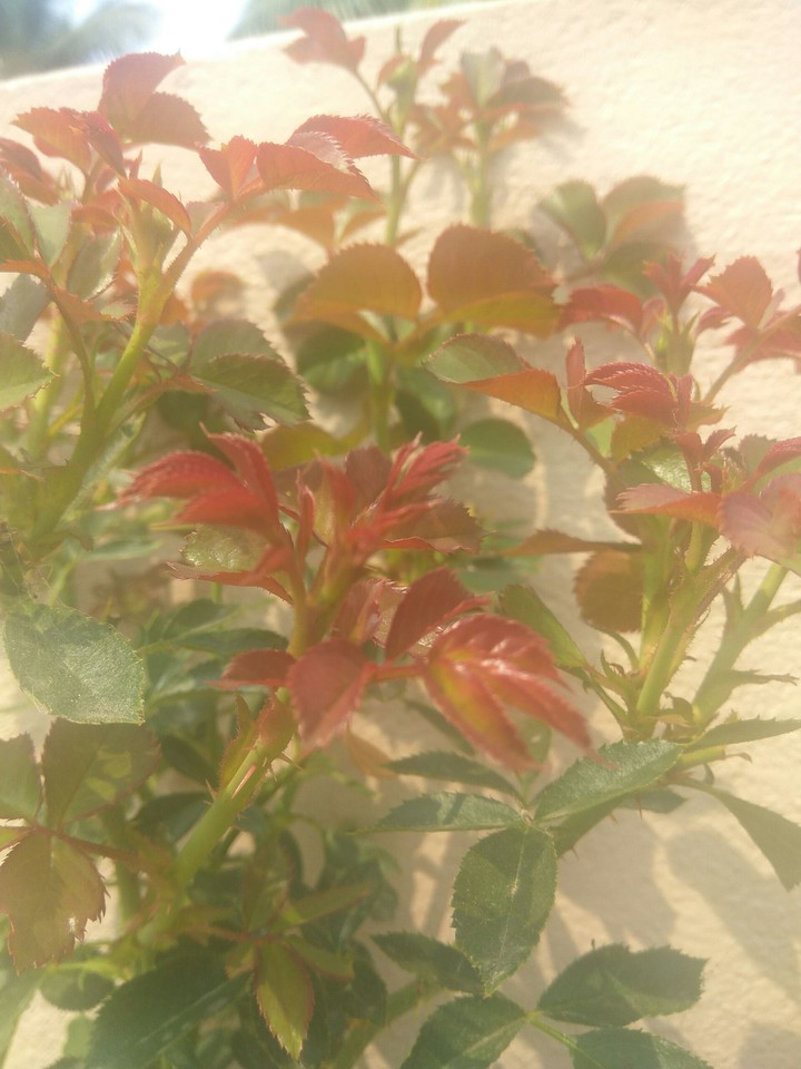 By me