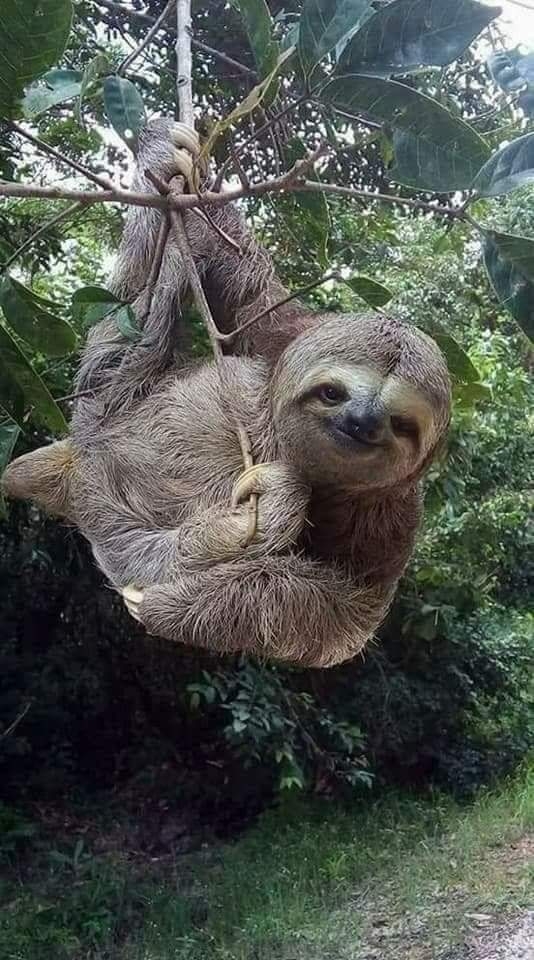 Da natureza para vocês apreciarem.