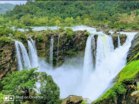 Jog falls