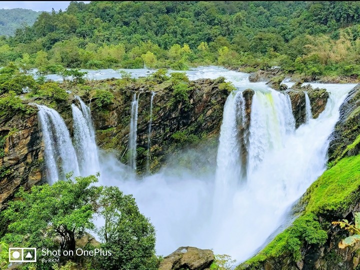 Jog falls