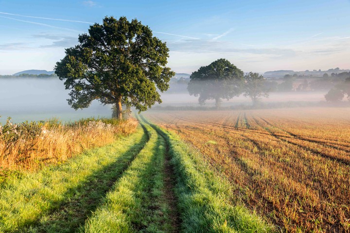 Green countryside