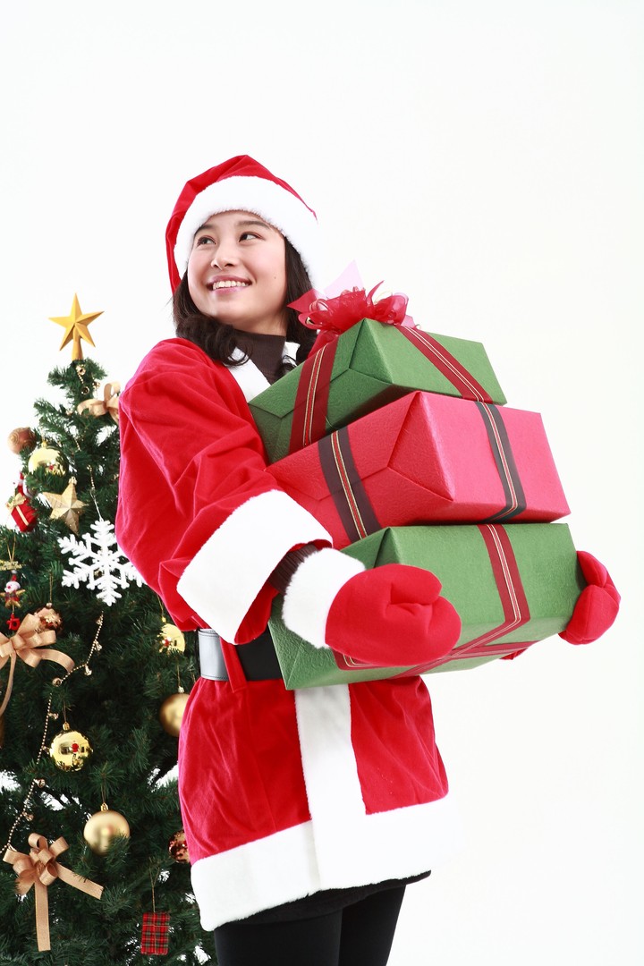 Christmas Costume
