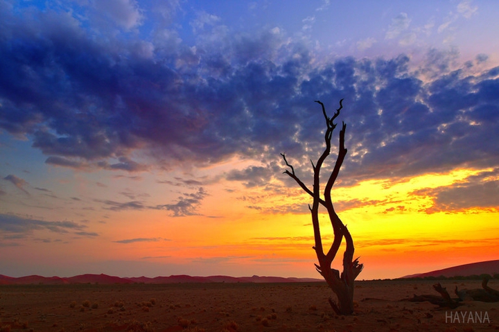 I love Africa