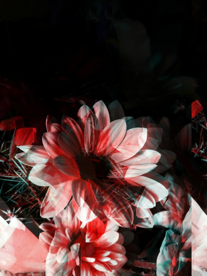 feel glitch