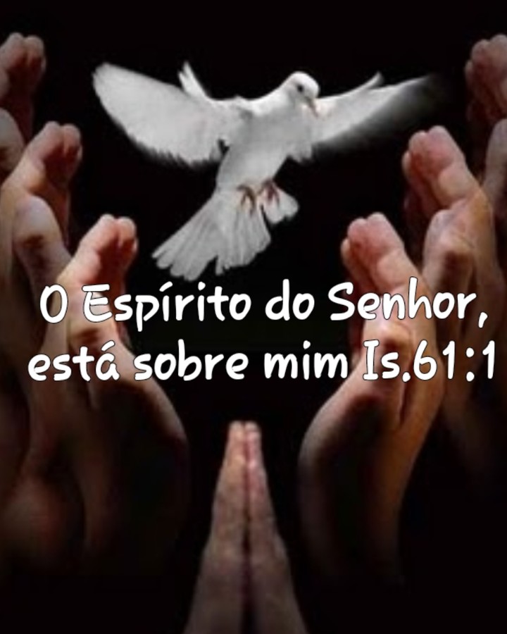 MARAVILHOSO ESPÍRITO SANTO