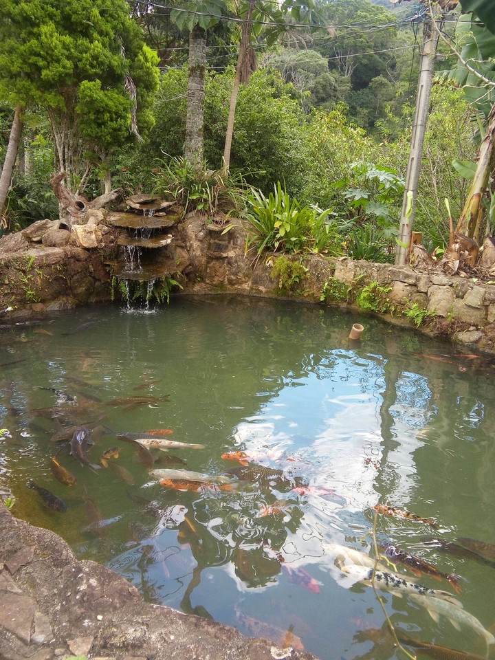 aquário