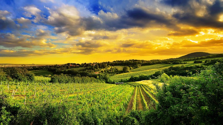 beautiful farm land...