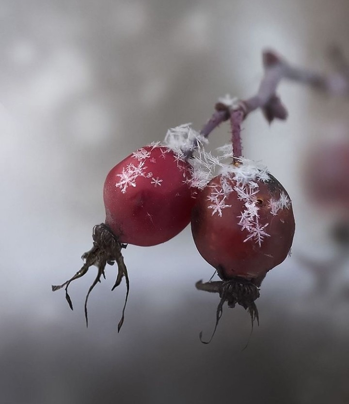 winter