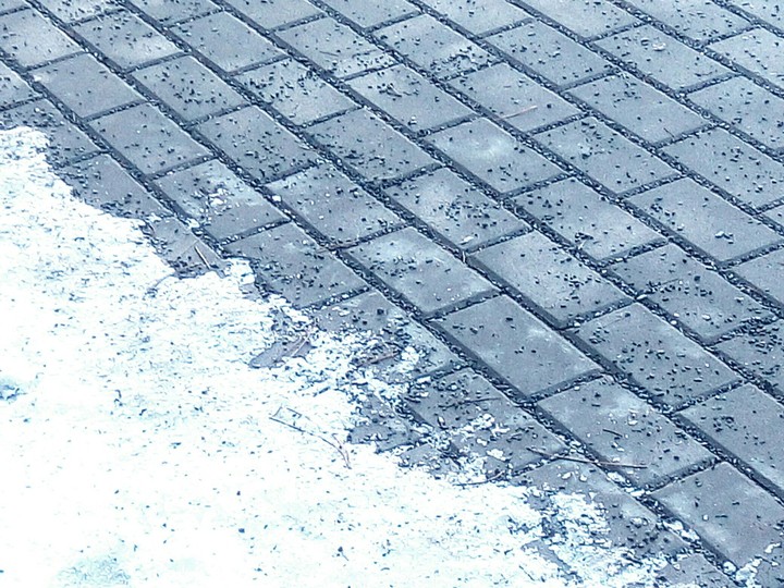 snow and street
