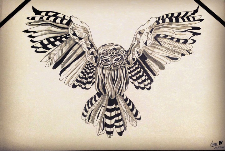 The Owl