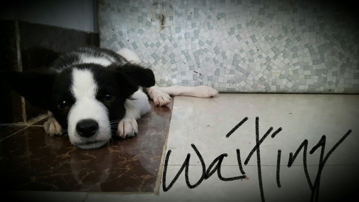Waiting