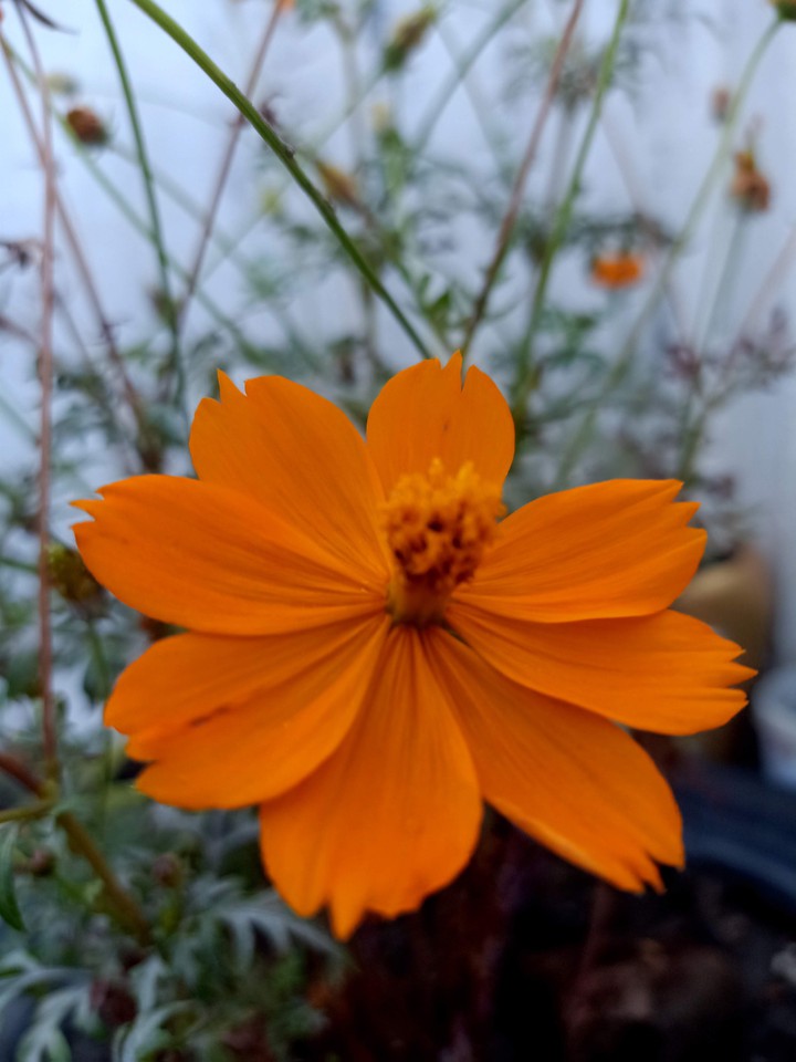 My Photography. .