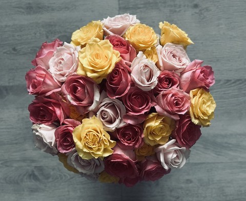 pink, rose wallpapers