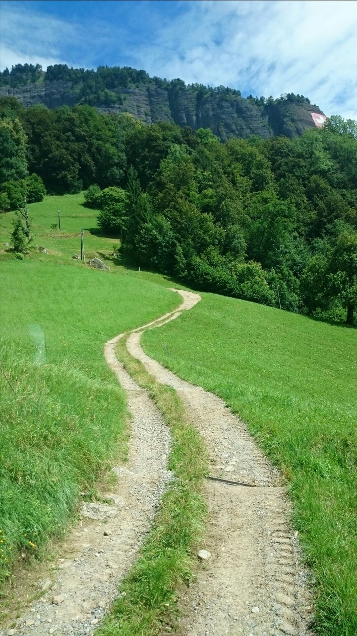 the path into 'we don't know'-where 