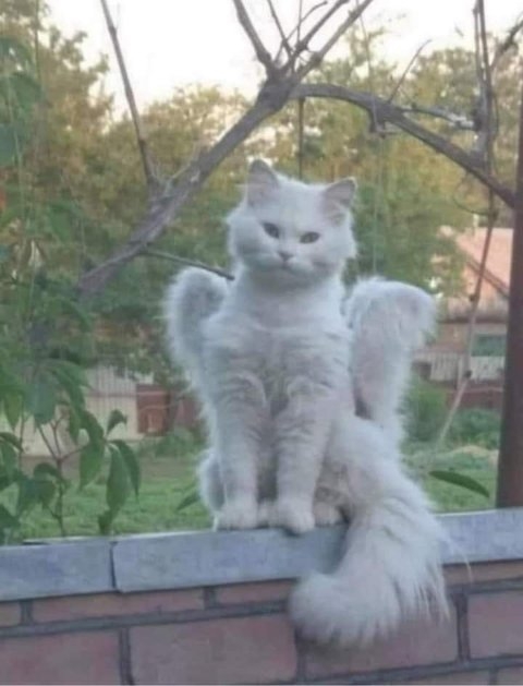 ? ?хранитель мой?????????????????????