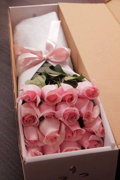 #rose_love