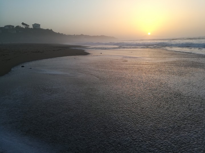 #ocean