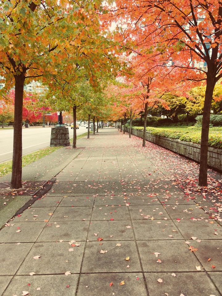 Downtown Vancouver #fall