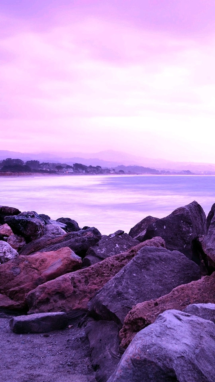 purple love♡