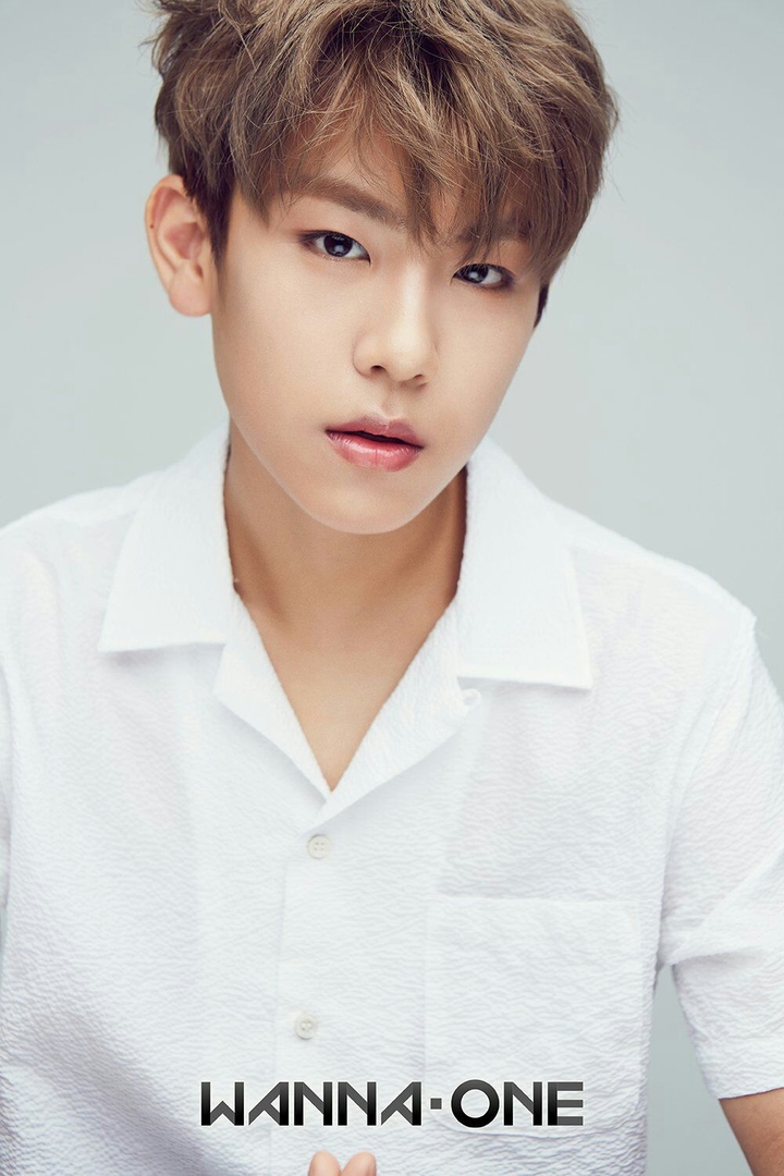 Park Woojin