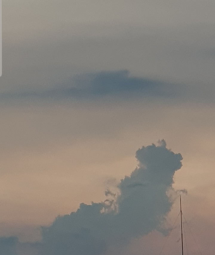 dog cloud