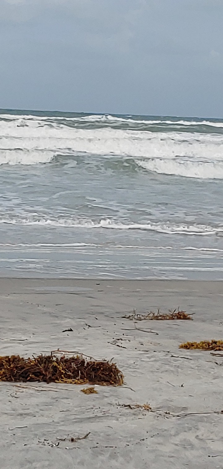 Florida beach
