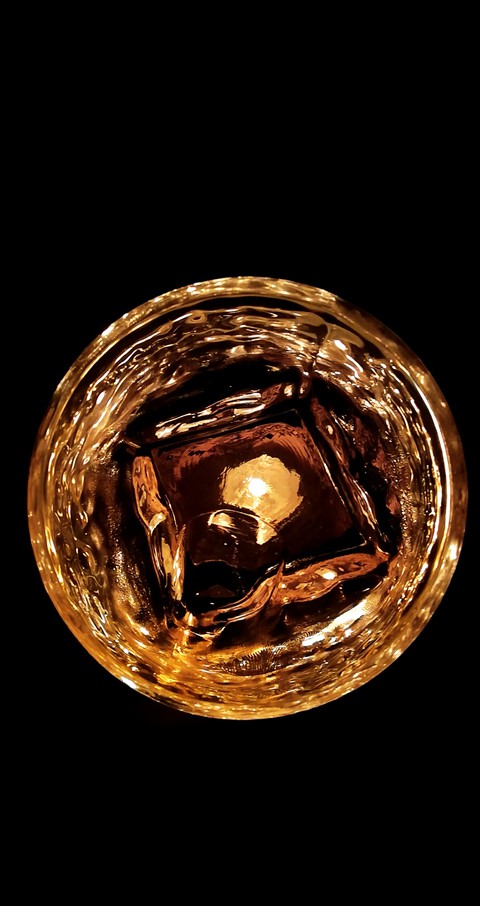 on the rocks