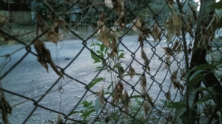 steel compound