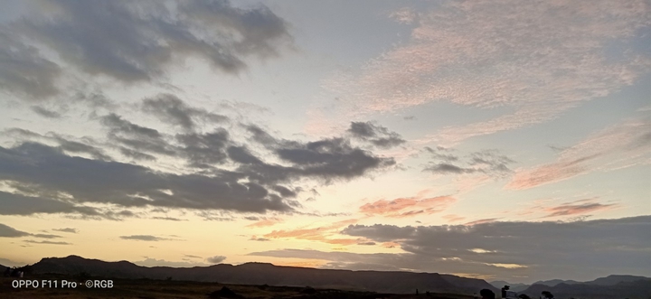 Skies