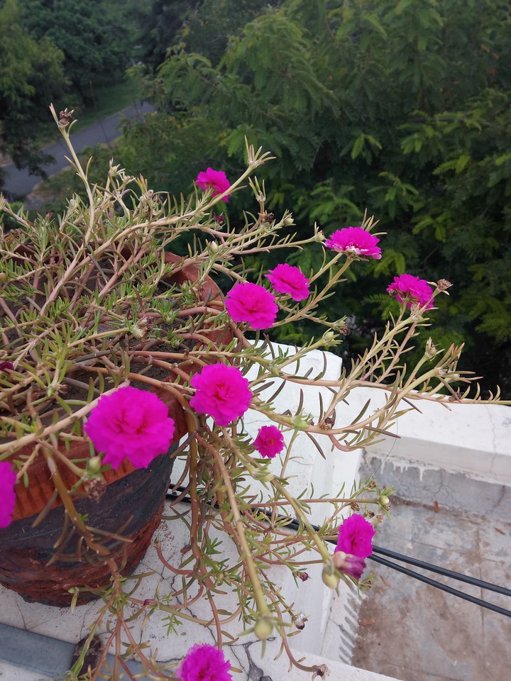 beauty of life