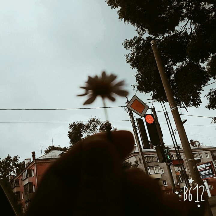 rain