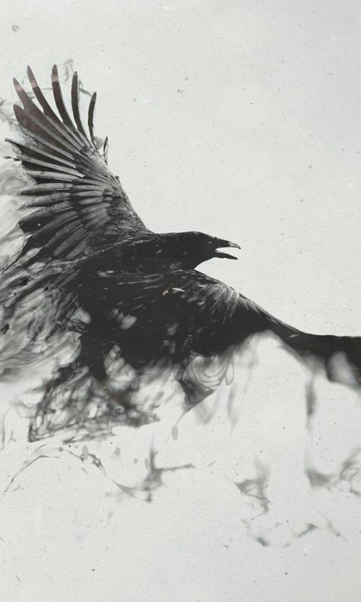 Learning to Fly