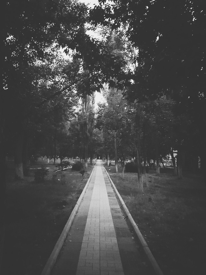 Dark Park