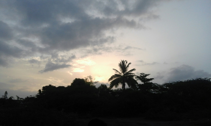 evening !!