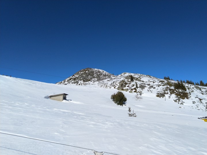 VITOSHA