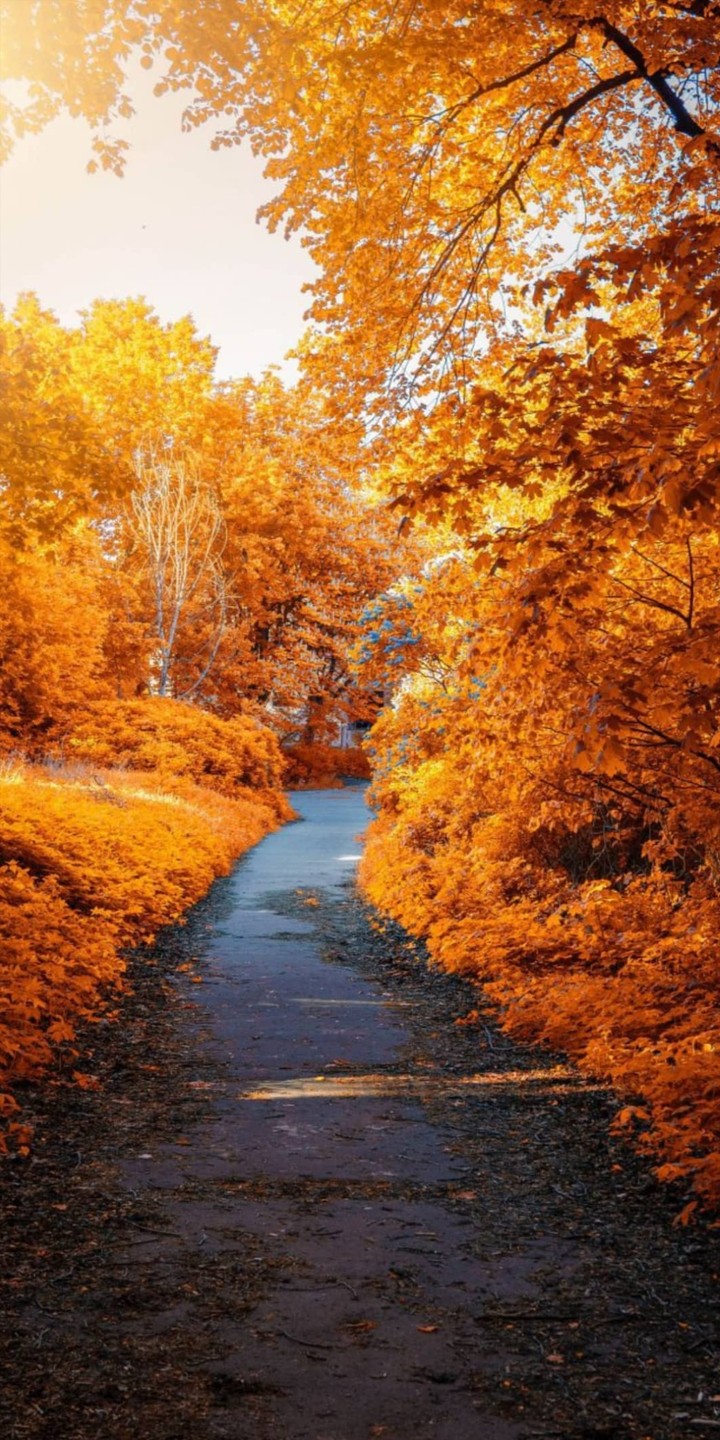 autumn