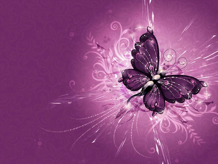 Purple butterfly