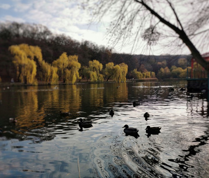 Kyiv Golodeevo
